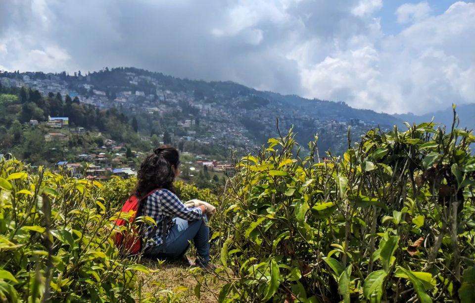Photo of A detour to Darjeeling by Shruti Pendharkar