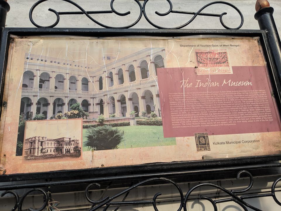 Photo of 10 days in the city of joy: Kolkata by Shruti Pendharkar