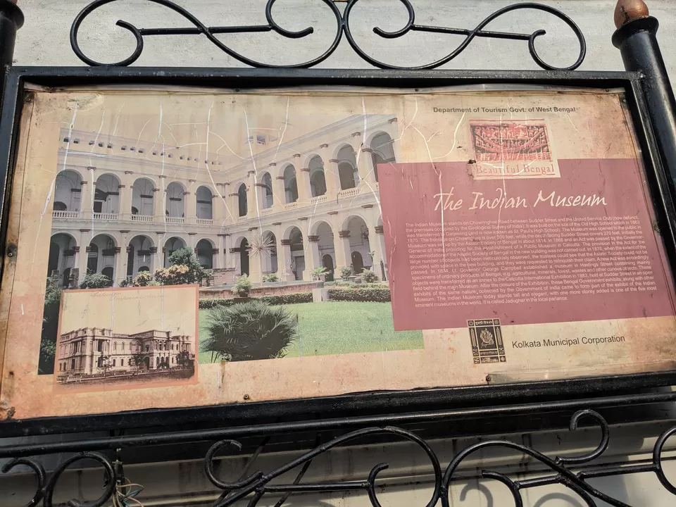 Photo of 10 days in the city of joy: Kolkata by Shruti Pendharkar