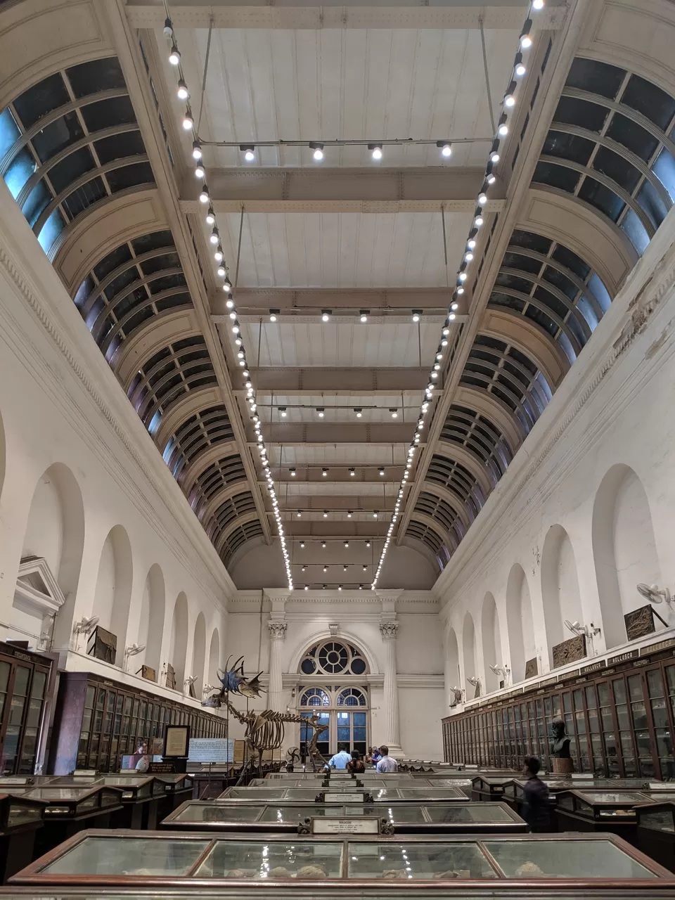 Photo of 10 days in the city of joy: Kolkata by Shruti Pendharkar