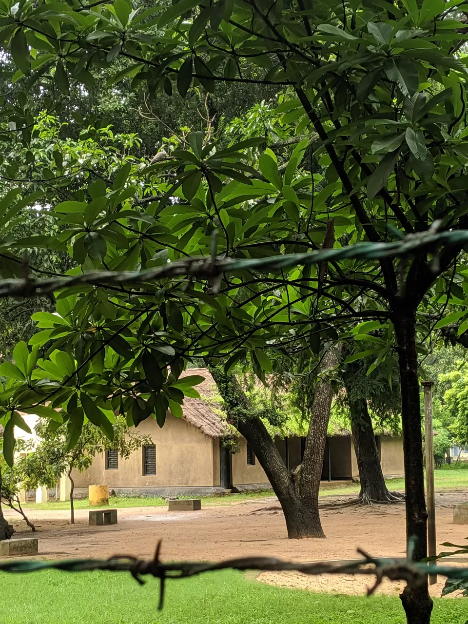 Photo of 10 days in the city of joy: Kolkata by Shruti Pendharkar
