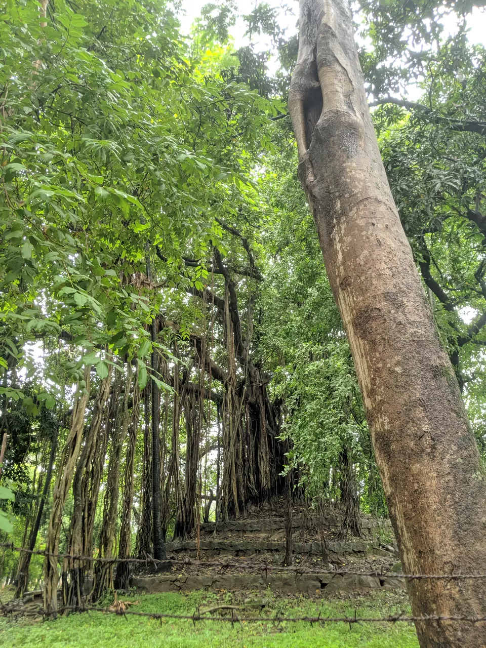 Photo of 10 days in the city of joy: Kolkata by Shruti Pendharkar