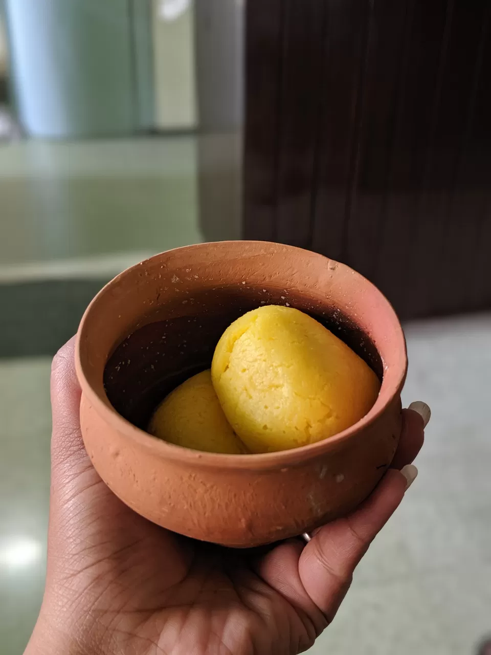 Photo of 10 days in the city of joy: Kolkata by Shruti Pendharkar