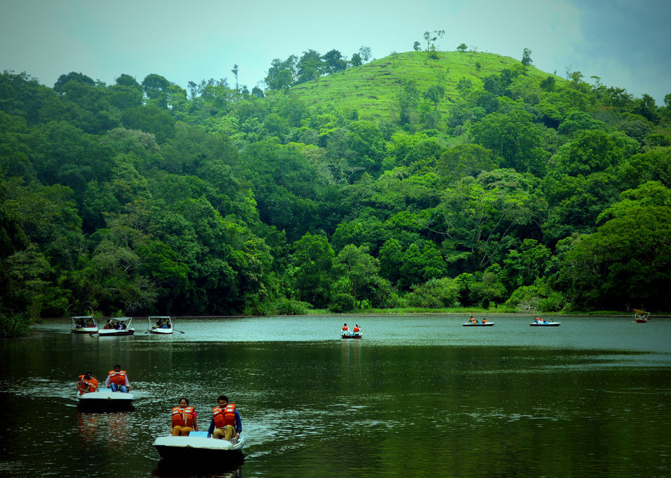 Photo of Wayanad - The All in One Divine Land ! 3/11 by Athul S Karun