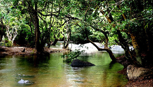 Photo of Wayanad - The All in One Divine Land ! 8/11 by Athul S Karun