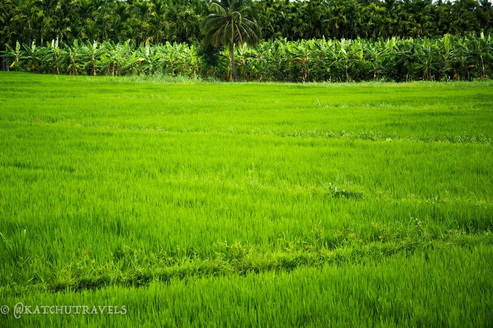Photo of Mandya, Karnataka, India by KatchuTravels