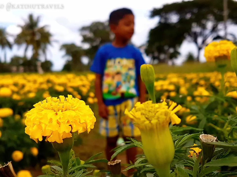 Photo of Srirangapatna, Karnataka, India by KatchuTravels