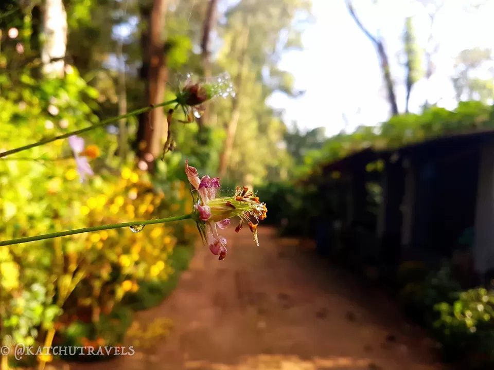 Photo of Jagale Homestay, Balele, Karnataka, India by KatchuTravels