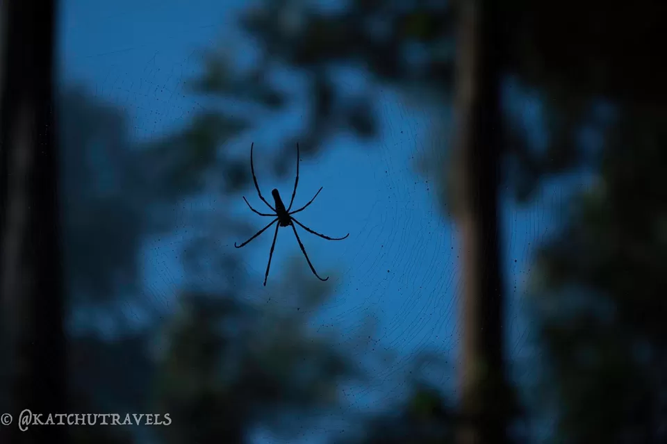 Photo of Jagale Homestay, Balele, Karnataka, India by KatchuTravels