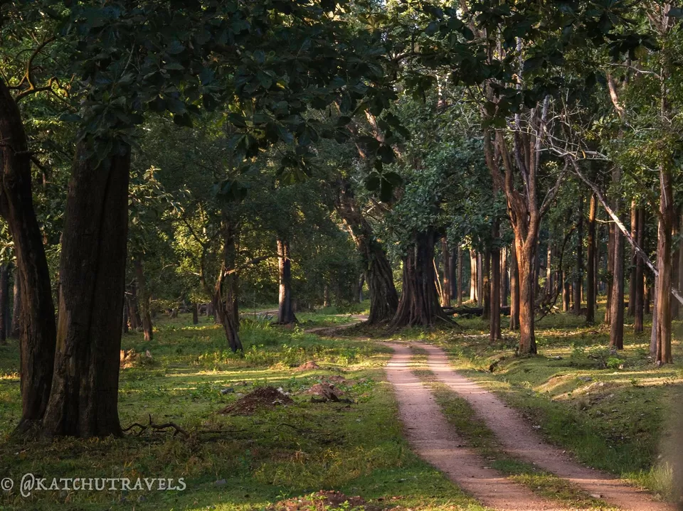 Photo of Nagarhole National Park Parking, Nagarhole Road, Nalkeri Forest, Karnataka, India by KatchuTravels