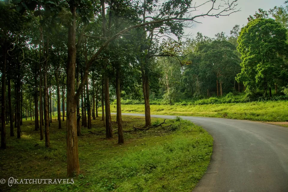 Photo of Nagarhole Safari Main Gate, Nalkeri Forest, Karnataka, India by KatchuTravels
