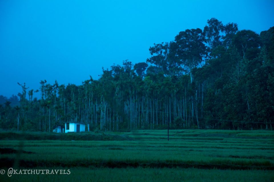 Photo of Nagarhole Road, Veeranahosahalli, Karnataka, India by KatchuTravels