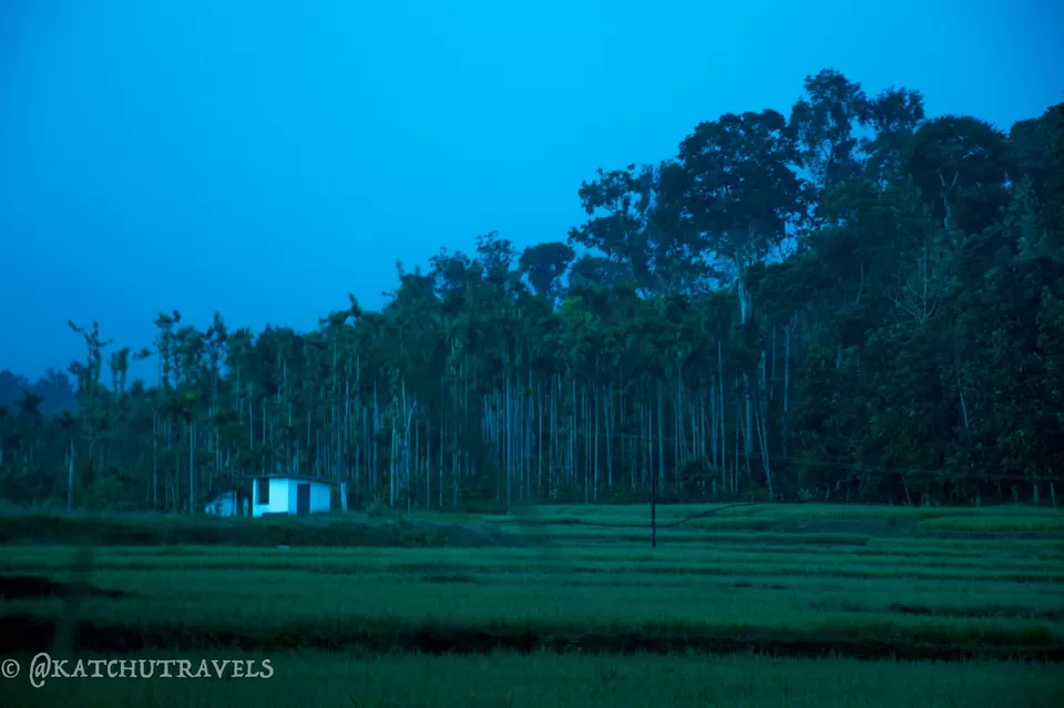 Photo of Nagarhole Road, Veeranahosahalli, Karnataka, India by KatchuTravels
