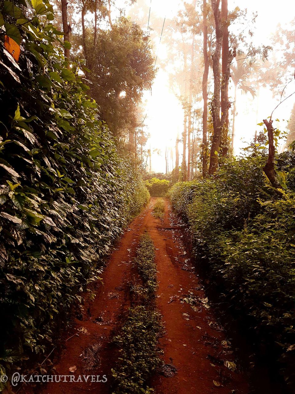 Photo of Jagale Homestay, Balele, Karnataka, India by KatchuTravels