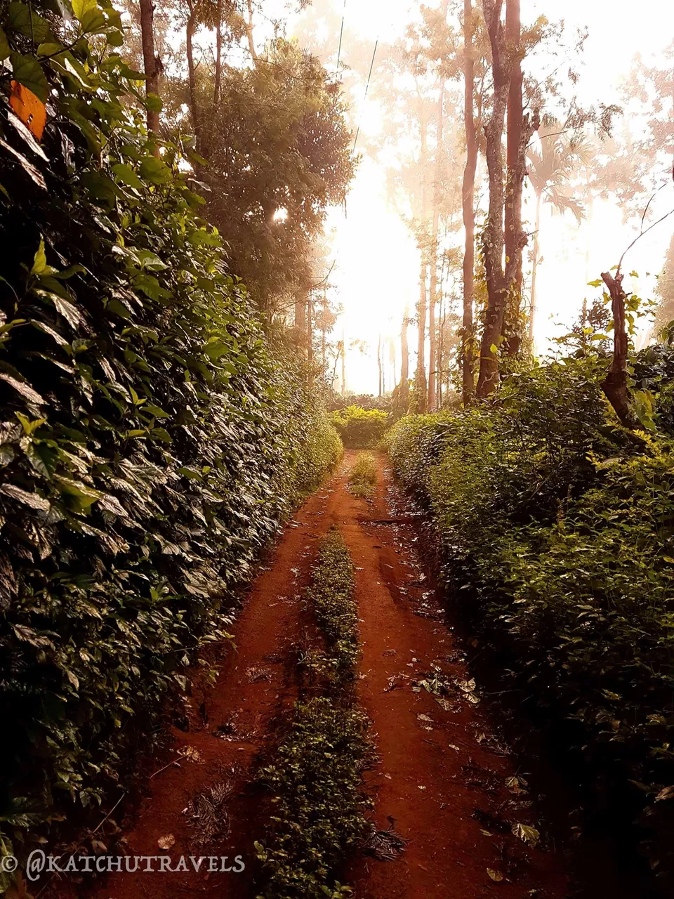 Photo of Jagale Homestay, Balele, Karnataka, India by KatchuTravels