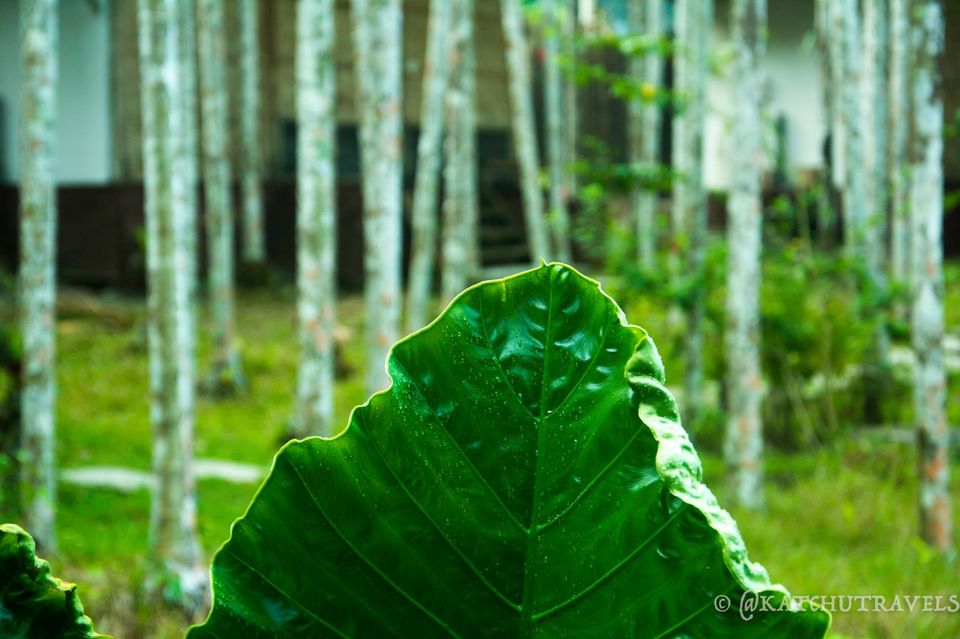 Photo of Kalapathar Beach, South Andaman, Andaman and Nicobar Islands, India by KatchuTravels