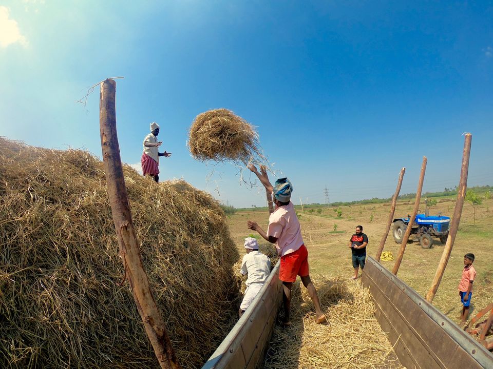 Photo of Vaksana Farms, Tindivanam Taluk, Tamil Nadu, India by KatchuTravels
