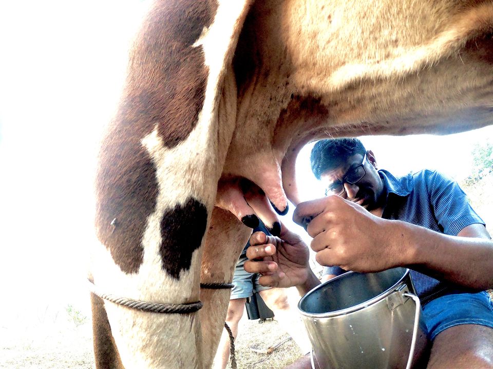 Photo of Vaksana Farms, Tindivanam Taluk, Tamil Nadu, India by KatchuTravels
