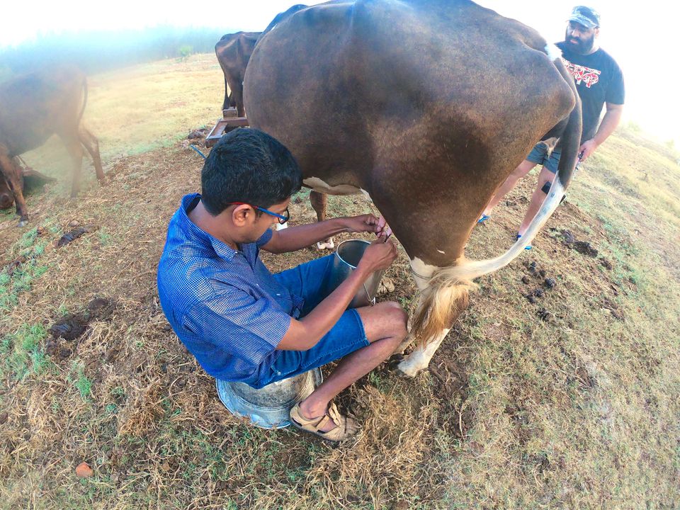 Photo of Vaksana Farms, Tindivanam Taluk, Tamil Nadu, India by KatchuTravels