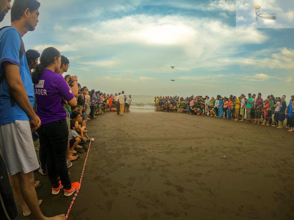 Photo of The Ultimate Guide to the Velas Turtle Festival-17 Reasons to be there! 8/27 by KatchuTravels
