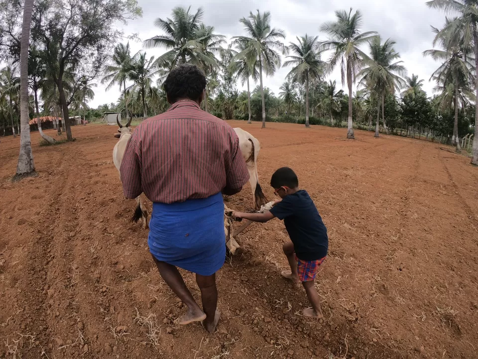 Photo of Farming for Kids- This homestay 2 hours from Bangalore is Winning young parents over by KatchuTravels