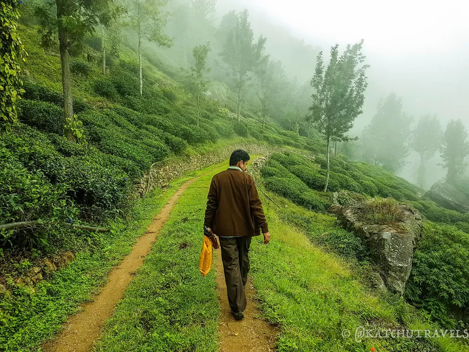 Photo of Coonoor, Tamil Nadu, India by KatchuTravels
