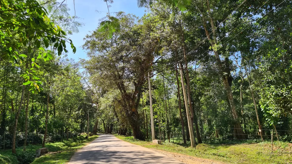 Photo of Bangalore to Sakleshpura Road Trip-Post Covid weekend Trip by KatchuTravels
