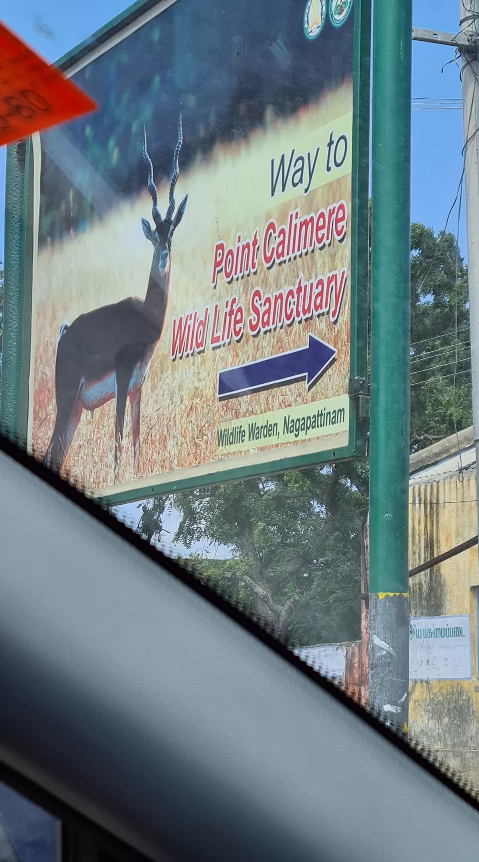 Photo of Point Calimere Wildlife Sanctuary (Kodiakarai), Kodiyakarai, Tamil Nadu, India by KatchuTravels