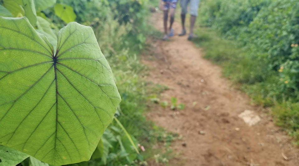Photo of NICE Road Kanakapura Road Junction, Bengaluru, Karnataka by KatchuTravels