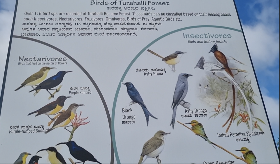 Photo of Turahalli Tree Park (Turahalli Kiru Aranya), Adarsha Layout, Lingadeeranahalli, Bengaluru, Karnataka, India by KatchuTravels