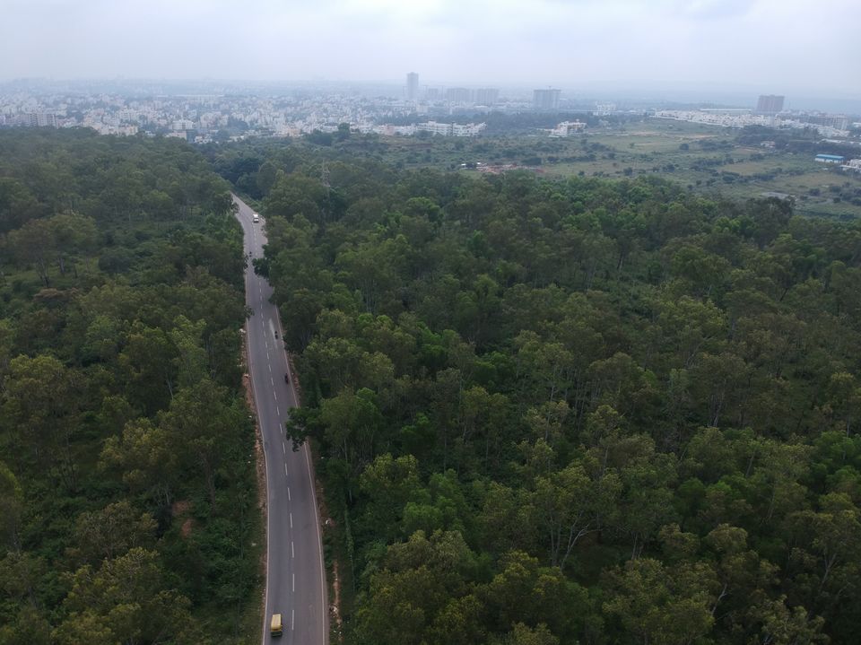 Photo of 6 Reasons to earmark Turahalli Tree Park on your weekend break from Bangalore by KatchuTravels
