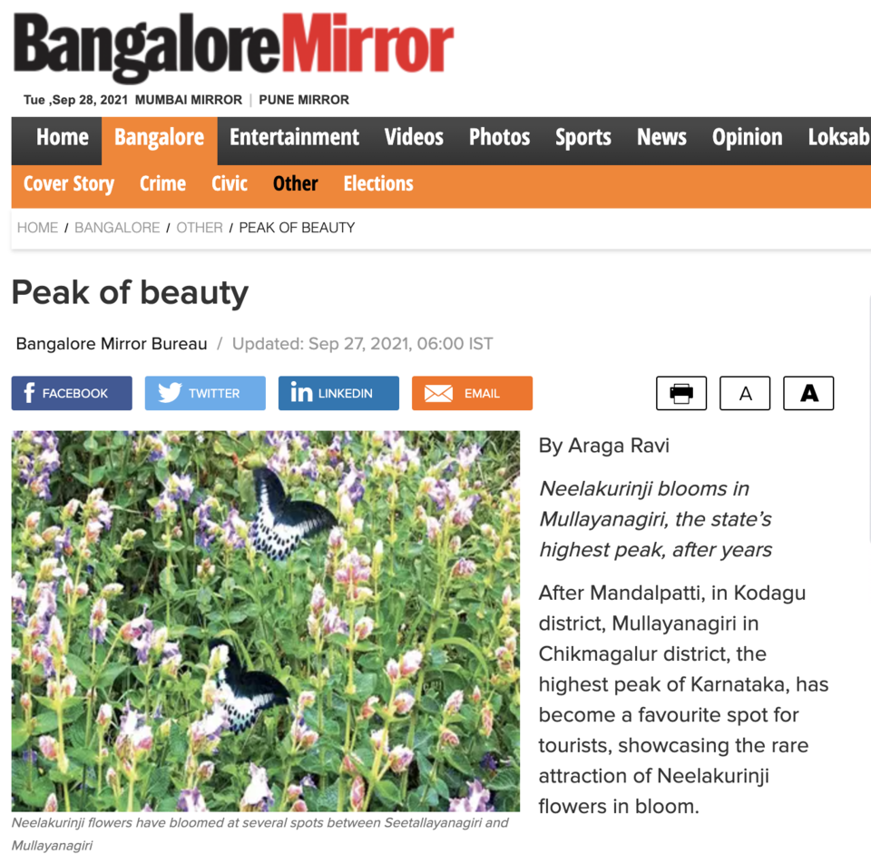 Photo of Is there a new Neelakurinji flowers wave, yet again? This time from Chikmagalur by KatchuTravels