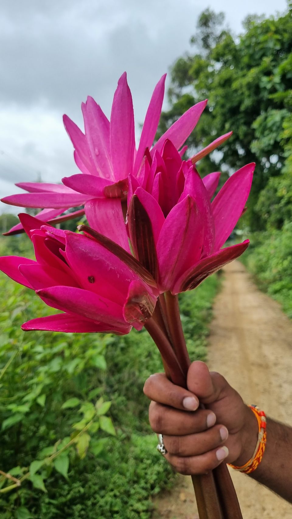 Photo of 5 Reasons to consider this amazing landscape for your next hike on your way to the Bengaluru Airport by KatchuTravels