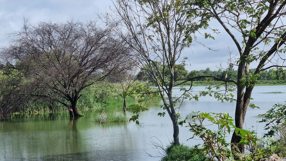 Photo of 5 Reasons to consider this amazing landscape for your next hike on your way to the Bengaluru Airport by KatchuTravels