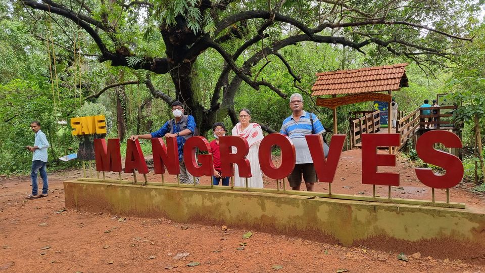Photo of In Search of Mangroves in Honnavara by KatchuTravels