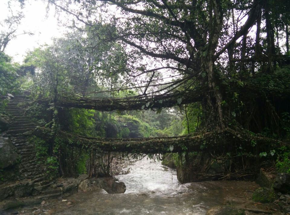 Photo of Nongriat, Meghalaya, India by parth93s
