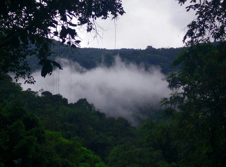 Photo of Guwahati, Assam, India by parth93s