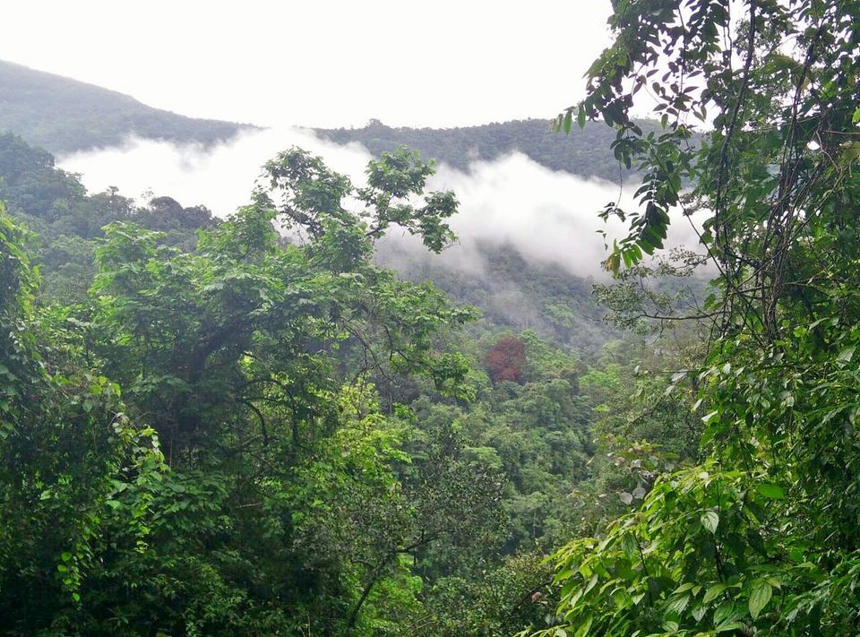 Photo of Guwahati, Assam, India by parth93s