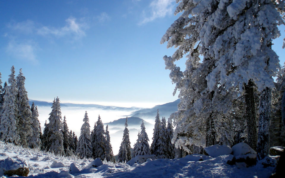 Photo of Manali, Himachal Pradesh, India by Shhahh