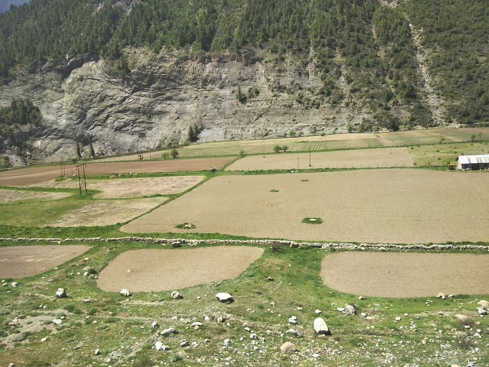 Photo of L e h Keylong Road, Lahaul And Spiti, Himachal Pradesh, India by Ravinder Bishnoi