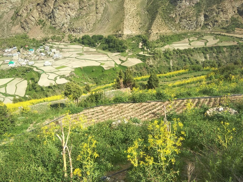 Photo of L e h Keylong Road, Lahaul And Spiti, Himachal Pradesh, India by Ravinder Bishnoi