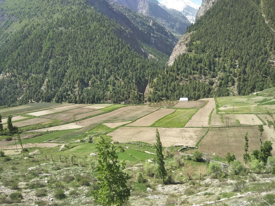 Photo of L e h Keylong Road, Lahaul And Spiti, Himachal Pradesh, India by Ravinder Bishnoi