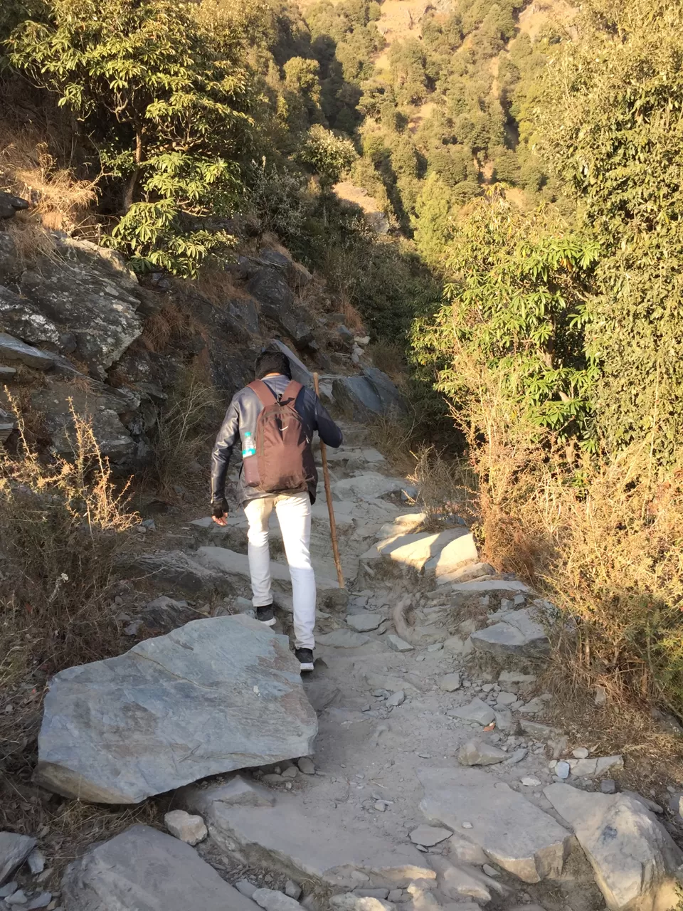 Photo of Triund, Himachal Pradesh by The Young Monk