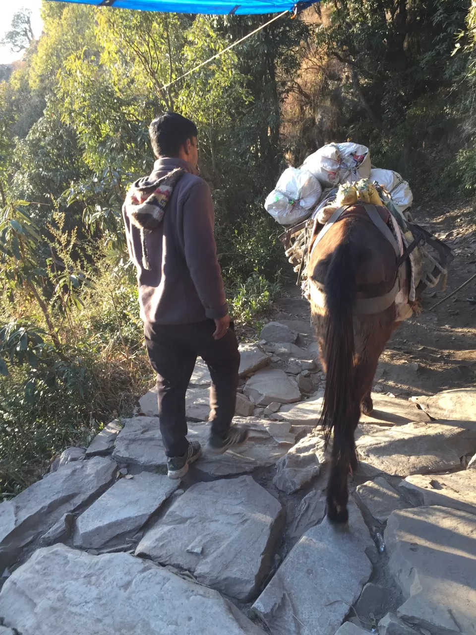 Photo of Triund, Himachal Pradesh by The Young Monk