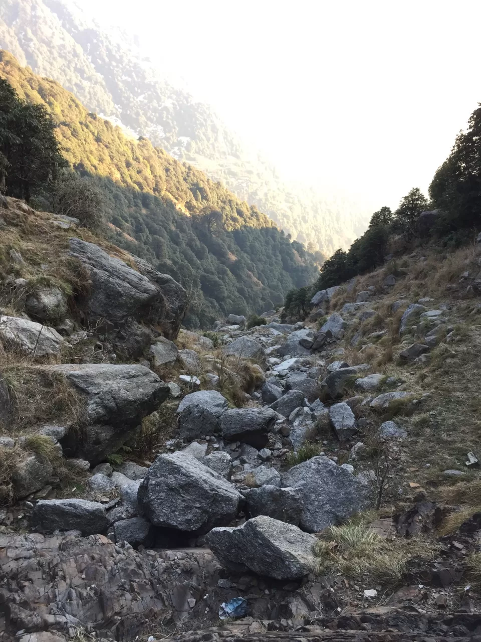 Photo of Triund, Himachal Pradesh by The Young Monk