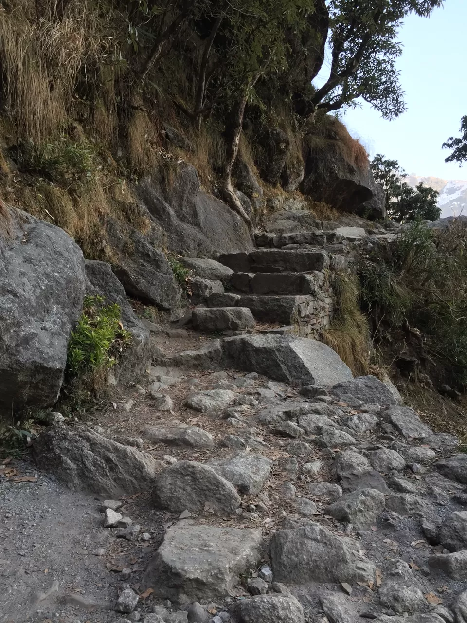 Photo of Triund, Himachal Pradesh by The Young Monk