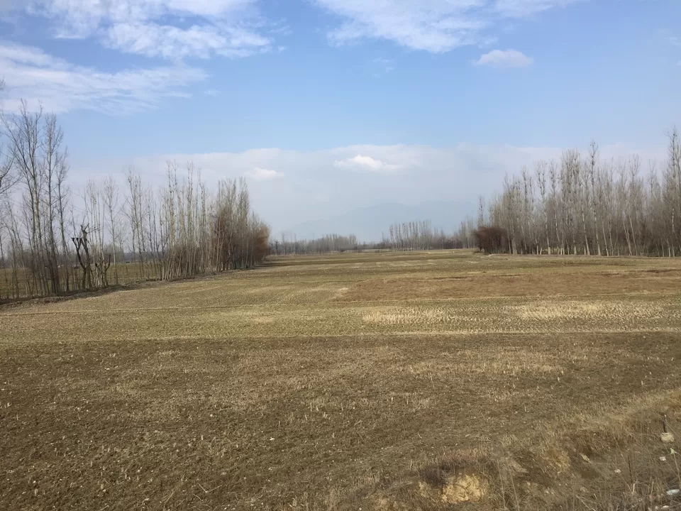 Photo of Srinagar by The Young Monk