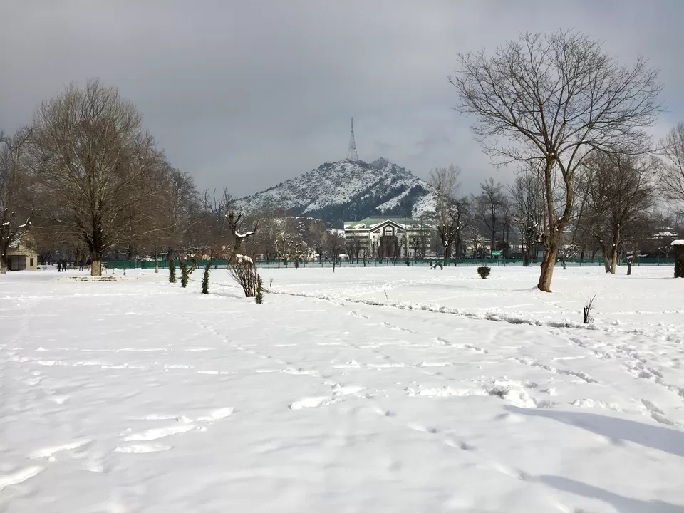 Photo of Srinagar by The Young Monk