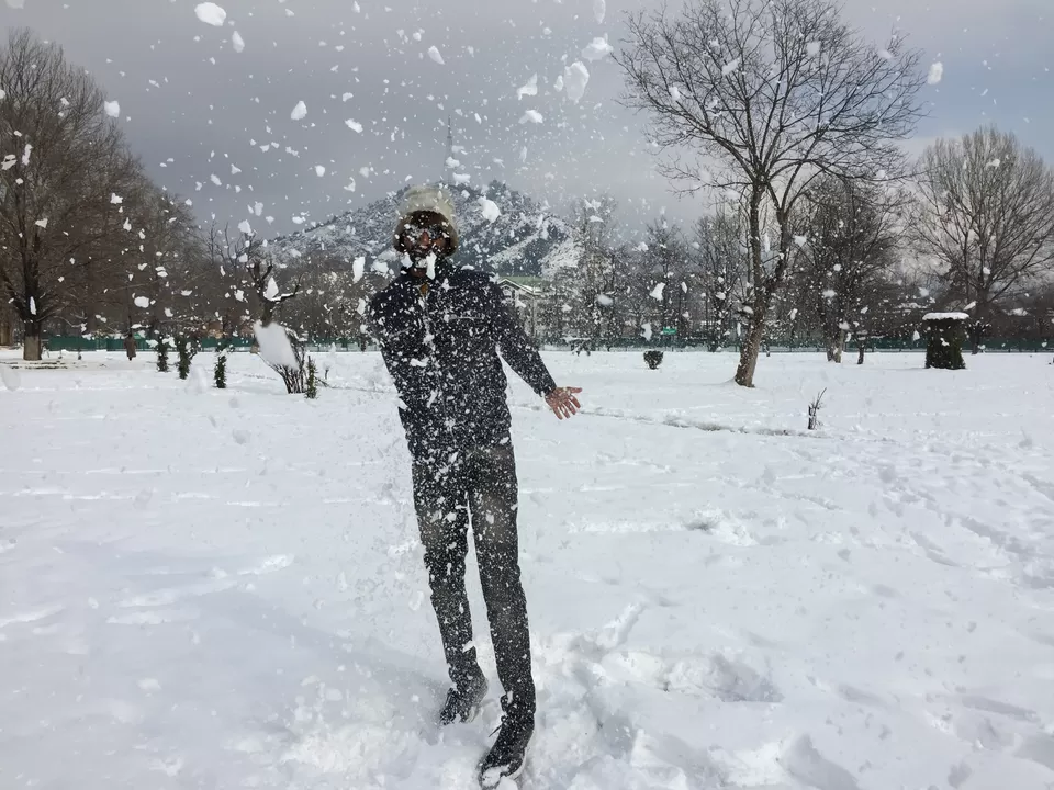 Photo of Srinagar by The Young Monk