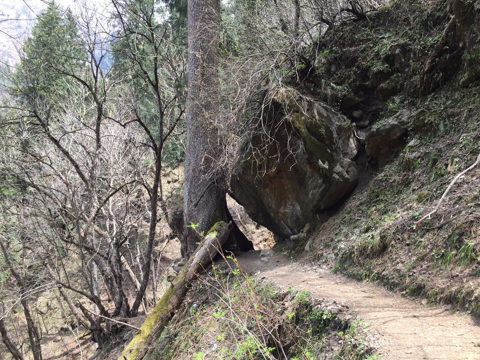 Photo of Kheerganga: A Trek Not To Miss. by Ravinder Bishnoi